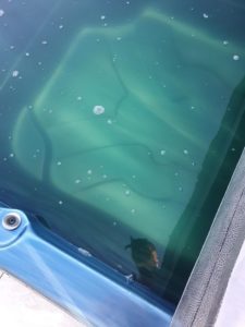 Désinfection et entretien d'un spa de nage à Rolle